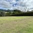  Land for sale in La Ceja, Antioquia, La Ceja