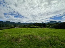  Terreno (Parcela) en venta en La Ceja, Antioquia, La Ceja