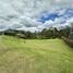  Land for sale in La Ceja, Antioquia, La Ceja