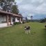 4 chambre Villa for sale in Marinilla, Antioquia, Marinilla