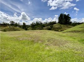  Land for sale in El Carmen De Viboral, Antioquia, El Carmen De Viboral