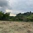  Land for sale in Salento, Quindio, Salento