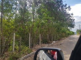  Land for sale in Tocaima, Cundinamarca, Tocaima