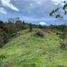  Terreno (Parcela) en venta en Guarne, Antioquia, Guarne