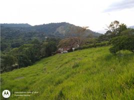  Terreno (Parcela) en venta en La Mesa, Cundinamarca, La Mesa