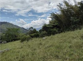  Land for sale in La Mesa, Cundinamarca, La Mesa