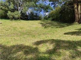  Land for sale in Envigado, Antioquia, Envigado