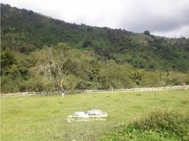  Land for sale in Caldas, Manizales, Caldas