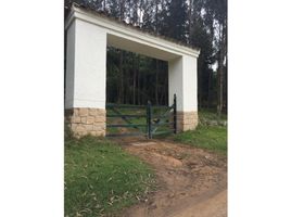 9 Schlafzimmer Villa zu verkaufen in Sesquile, Cundinamarca, Sesquile