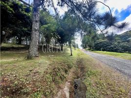  Land for sale in Chame, Panama Oeste, Sora, Chame