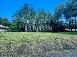  Terreno (Parcela) en venta en Sorá, Chame, Sorá