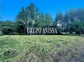  Land for sale in Chame, Panama Oeste, Sora, Chame