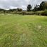  Land for sale in San Javier, Maule, San Javier