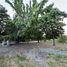 3 Habitación Casa en venta en Maule, Longavi, Linares, Maule