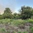  Terreno (Parcela) en venta en Chile, Longavi, Linares, Maule, Chile