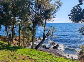  Terreno (Parcela) en venta en Chile, Puerto Varas, Llanquihue, Los Lagos, Chile