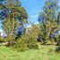  Terreno (Parcela) en venta en Chile, Puerto Varas, Llanquihue, Los Lagos, Chile