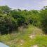  Grundstück zu verkaufen in Progreso, Yucatan, Progreso