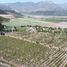  Terreno (Parcela) en venta en Chile, Llaillay, San Felipe de Aconcagua, Valparaíso, Chile