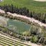  Terreno (Parcela) en venta en Chile, Llaillay, San Felipe de Aconcagua, Valparaíso, Chile