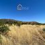  Terreno (Parcela) en venta en Chile, San Javier, Linares, Maule, Chile