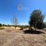  Terreno (Parcela) en venta en Chile, San Javier, Linares, Maule, Chile