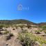  Land for sale in San Javier, Maule, San Javier, Linares