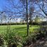 6 Bedroom House for sale in Maule, Talca, Talca, Maule