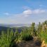  Land for sale in Vichuquen, Maule, Vichuquen, Curico