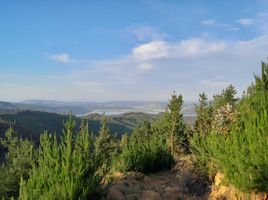  Land for sale in Maule, Vichuquen, Curico, Maule