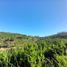  Land for sale in Maule, Vichuquen, Curico, Maule