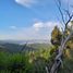  Land for sale in Maule, Vichuquen, Curico, Maule
