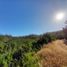  Land for sale in Maule, Vichuquen, Curico, Maule