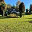 5 Bedroom House for rent in Chile, Temuco, Cautin, Araucania, Chile