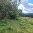  Terreno (Parcela) en venta en Chile, Pitrufquen, Cautín, Araucanía, Chile