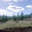  Land for sale in Curico, Maule, Curico, Curico