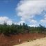  Terreno (Parcela) en venta en Chile, Curico, Curicó, Maule, Chile