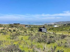  Terreno (Parcela) en venta en Valparaíso, La Ligua, Petorca, Valparaíso