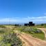  Land for sale in Valparaiso, La Ligua, Petorca, Valparaiso