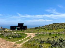  Land for sale in Valparaiso, La Ligua, Petorca, Valparaiso