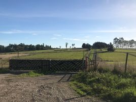  Land for sale in Llanquihue, Los Lagos, Puerto Varas, Llanquihue