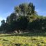  Land for sale in Llanquihue, Los Lagos, Puerto Varas, Llanquihue