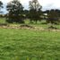  Land for sale in Llanquihue, Los Lagos, Puerto Varas, Llanquihue