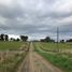  Land for sale in Llanquihue, Los Lagos, Puerto Varas, Llanquihue