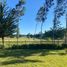  Terreno (Parcela) en venta en Biobío, Nacimiento, Biobío, Biobío