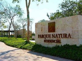  Grundstück zu verkaufen in Conkal, Yucatan, Conkal