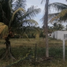  Land for sale in Bocas Del Toro, Guabito, Changuinola, Bocas Del Toro