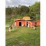4 Schlafzimmer Villa zu verkaufen in Pijao, Quindio, Pijao