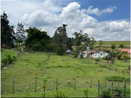  Terreno (Parcela) en venta en Rionegro, Antioquia, Rionegro