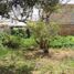  Land for sale in Cajica, Cundinamarca, Cajica